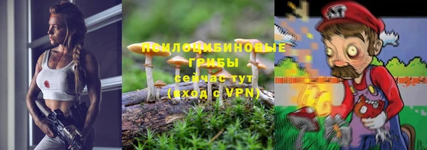 COCAINE Богданович