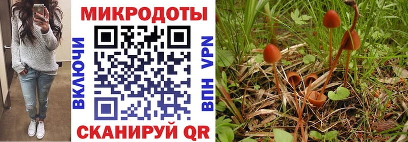 Псилоцибиновые грибы ЛСД  Купить  Верхняя Пышма 